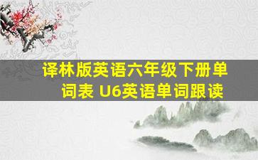 译林版英语六年级下册单词表 U6英语单词跟读